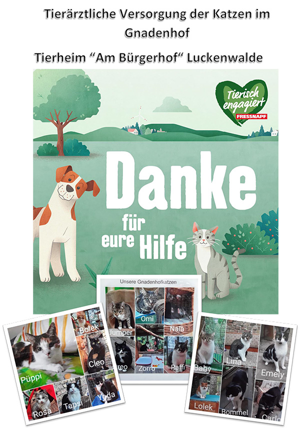 Tierärztliche Versorgung