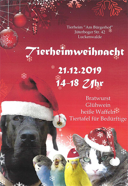 Weihnachtsfest 2019